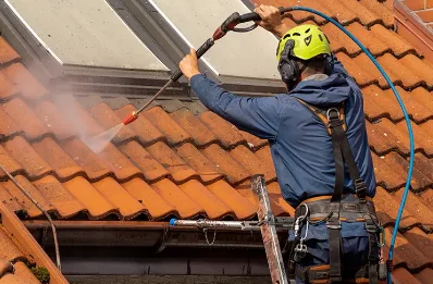 Démoussage et hydrofuge de toiture à Dixmont